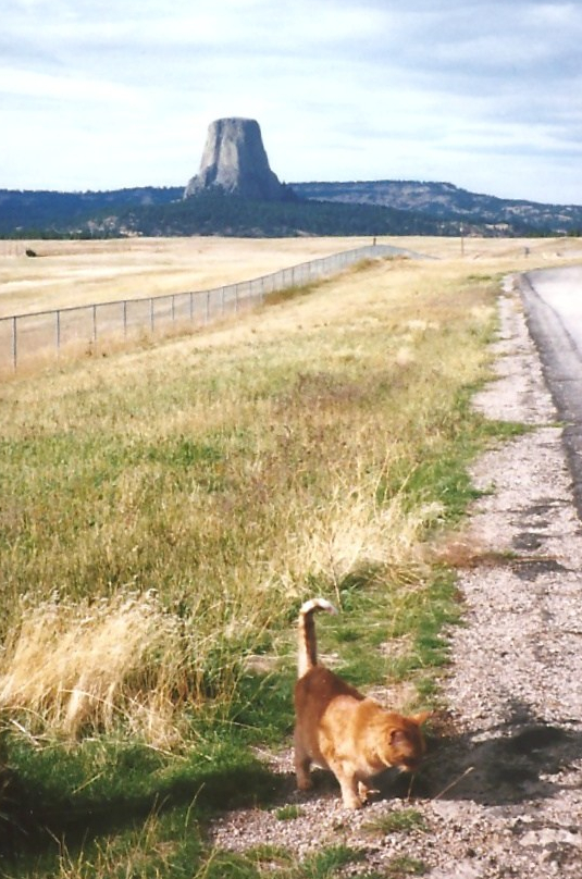 Homer at Devil's Tower.bmp